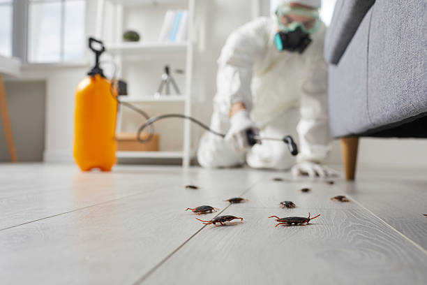 Commercial Kitchen Cockroach Control in Harvard